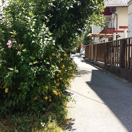 卢布尔雅那 向日葵旅馆酒店 外观 照片