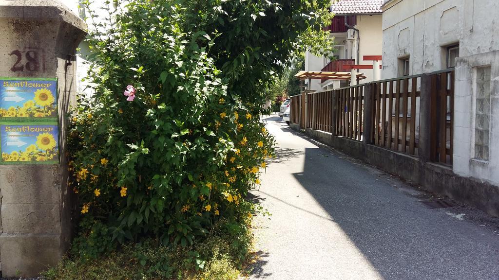 卢布尔雅那 向日葵旅馆酒店 外观 照片